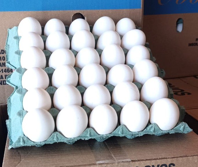 Ovos do tipo 'Jumbo'